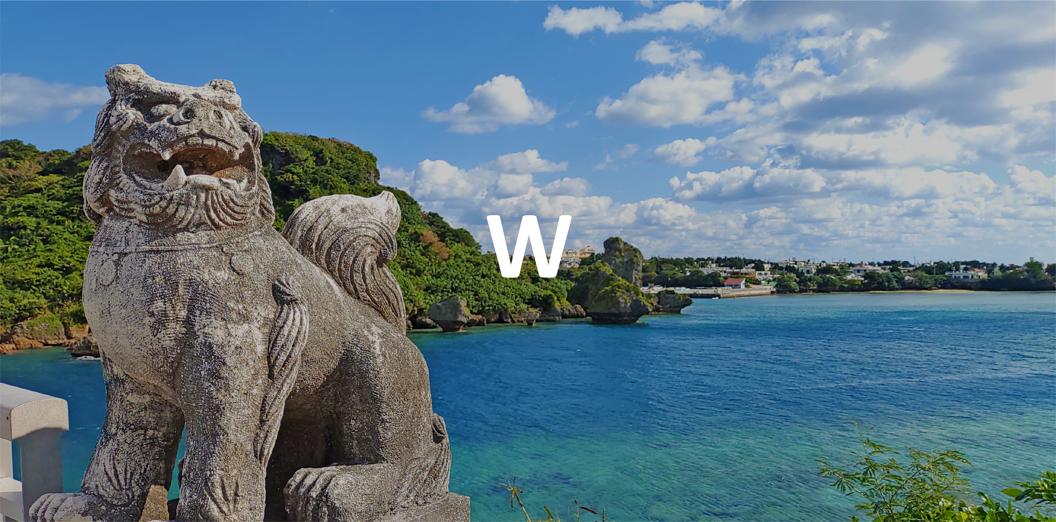 Working hoilday Japon